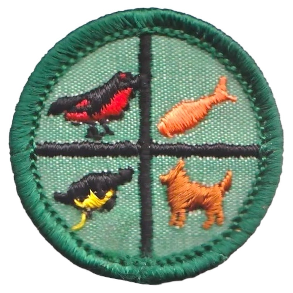 Vintage 1964 Girl Scouts Badge - Round 1.5”